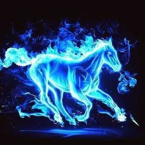 Meet your Posher, Leeann